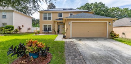 586 Wekiva Bluff Street, Apopka