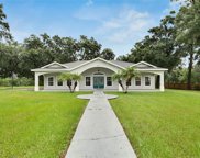 3011 Pearson Road, Valrico image
