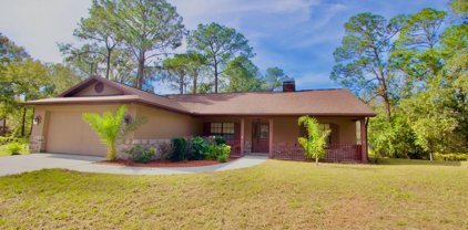 7051 Frances Drive, Wesley Chapel