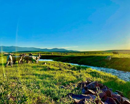 750 & 775 Medicine Lodge Road, Dillon