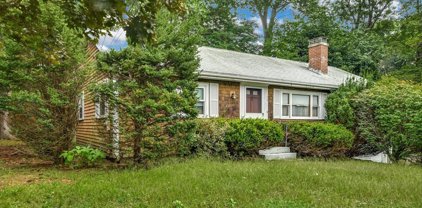 76 Phelps St, Marlborough