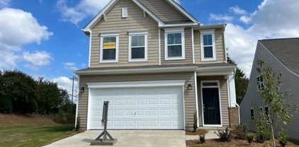 803 Wild Orchard Lane lot 24, Woodruff