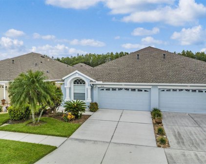 2838 Torrance Drive, Land O' Lakes