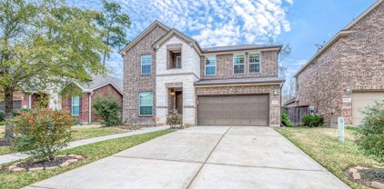 22510 Cutter Mill Drive, Spring