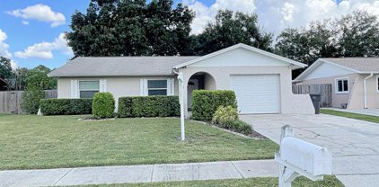 14507 Markland Greens Place, Tampa