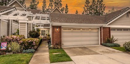 607 S Westford St, Anaheim Hills