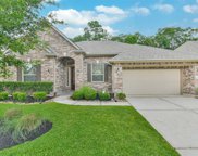 23314 Colleton Drive, New Caney image
