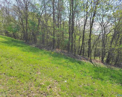 1283 Monte Sano Drive, Scottsboro