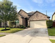 19710 Yellow Hibiscus Lane, Cypress image