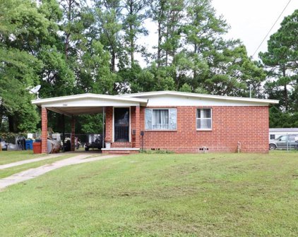 2983 Snow Drop Court, Jacksonville
