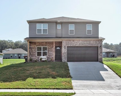 246 Evans  Street, Huntsville