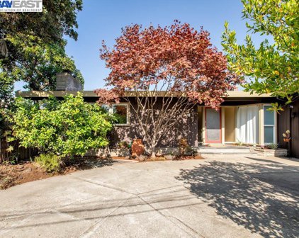 1039 San Antonio Ave, Alameda