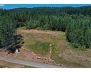 NE 292nd AVE, Camas image