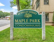 65 Valley Street Unit 3L, Medford image