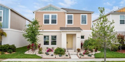 12804 Crested Iris Way, Riverview