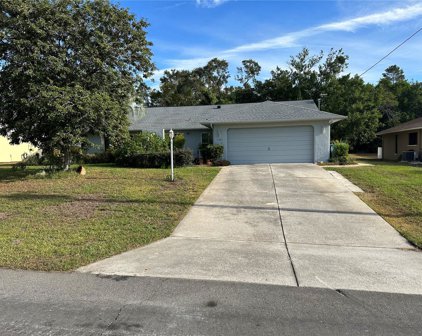 11281 Salters Street, Spring Hill