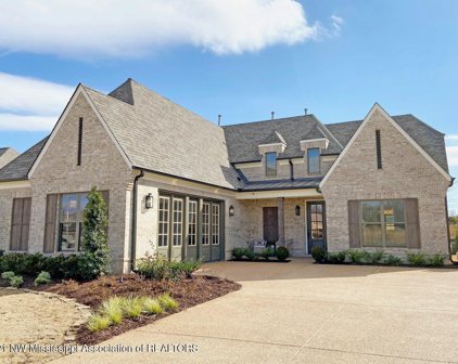 3075 Tina Renee Lane, Nesbit
