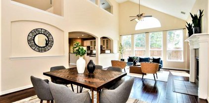 12114 Forest Sage Lane, Pearland