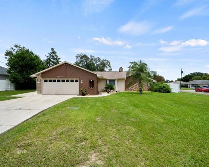 13307 Little Farms Drive, Spring Hill