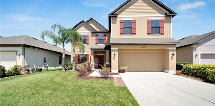 14318 Fissore Boulevard, Wimauma
