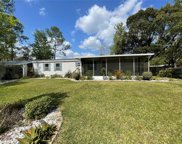 23901 Alleycat Rd, Astor image