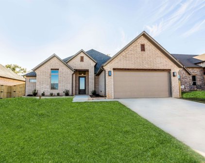4164 Palo Pinto Creek Circle, Tyler