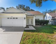 12937 Terrace Springs Drive, Temple Terrace image