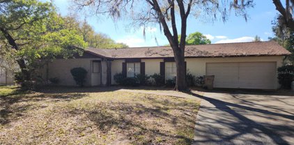 10408 N 62nd Street, Temple Terrace