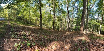 Lot 56 Summerhouse  Dr, Hardy