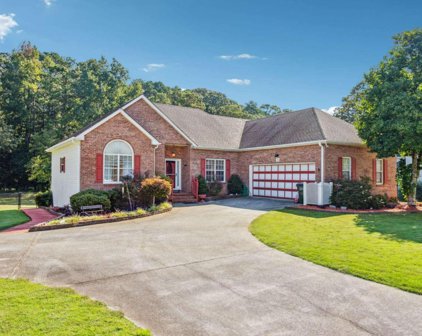 3820 Carriage Downs Court, Snellville