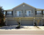 6769 Breezy Palm Drive, Riverview image