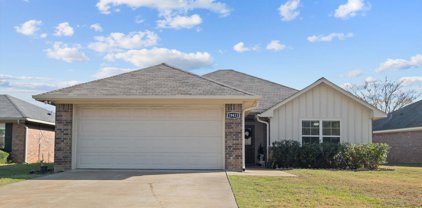 19411 King Ranch Dr, Flint