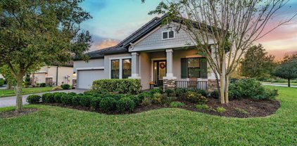 3327 Barbour Trail, Odessa
