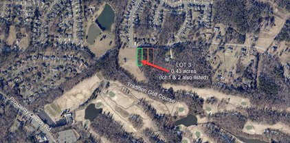 3233 Polk And White  Road, Charlotte