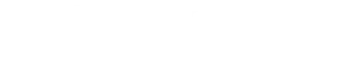 Clever Savage Group