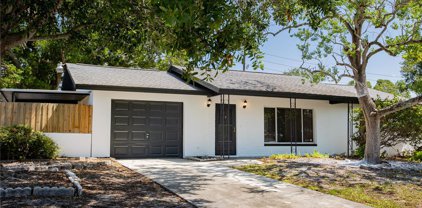 2516 Burnice Drive, Clearwater