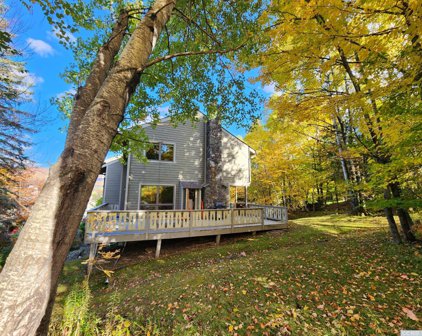 92 Highlands Drive Unit A1, Hunter
