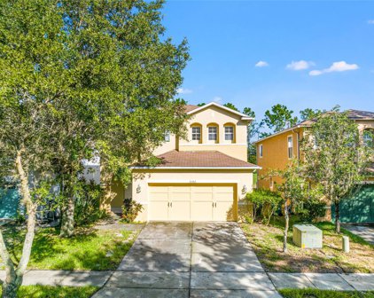 31552 Spoonflower Circle, Wesley Chapel