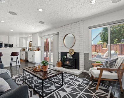 31410 San Jacinto Ct, Union City