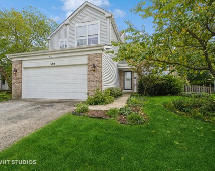 583 Greystone Lane, Bolingbrook