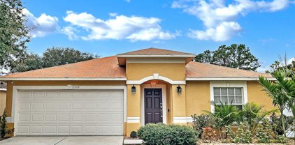 12017 Cedarfield Drive, Riverview