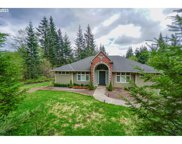 9515 NE 312TH AVE, Camas image