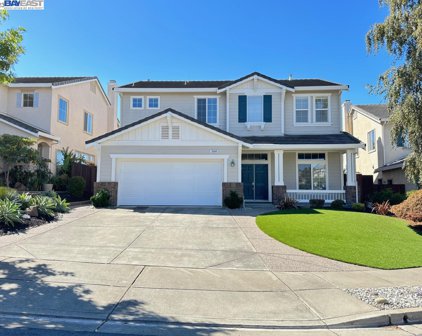 5110 Stone Canyon Dr, Castro Valley