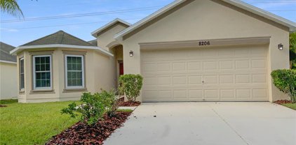 8206 Carriage Pointe Drive, Gibsonton