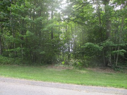 Emerald Ridge   Lot #13, Onekama