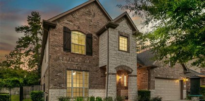 118 Hearthshire Circle, The Woodlands