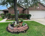 21219 Pinewalk Brook Lane, Spring image