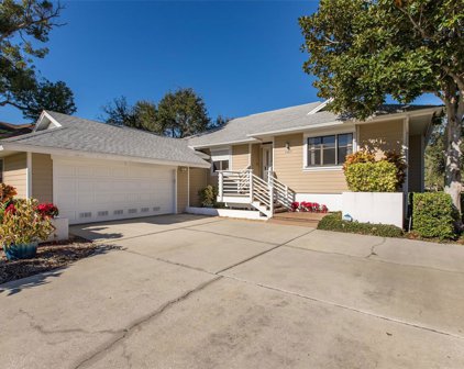 1007 Osprey Court, Tarpon Springs