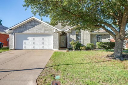3721 Cove Meadow  Lane, Fort Worth