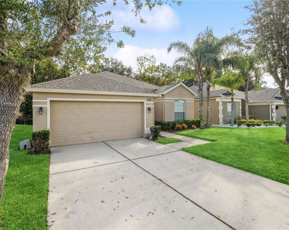 10121 Oak Crest Road, Orlando